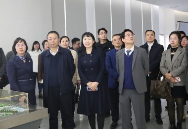 華時(shí)捷科技參加湘江新區(qū)“結(jié)伴同行·海外領(lǐng)秀”座談會(huì)，共謀國(guó)際化發(fā)展新路徑